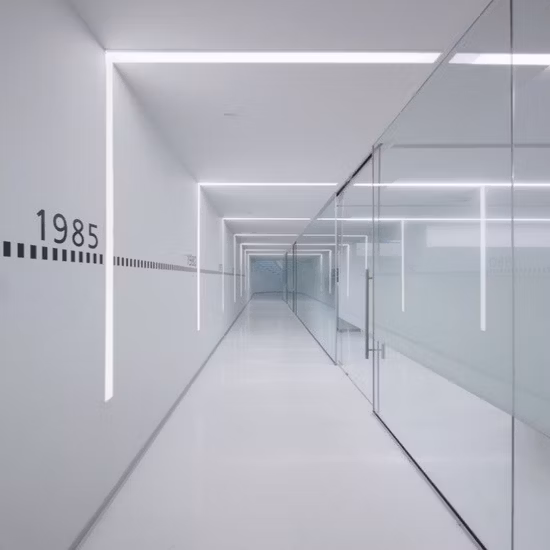 Staubfreier Reinraum für Tierklinik/Tierlabor/Labor