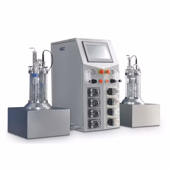 Druckbehälter-Reaktor-Bioreaktor Selbstgebauter Inslin-Laborfermenter