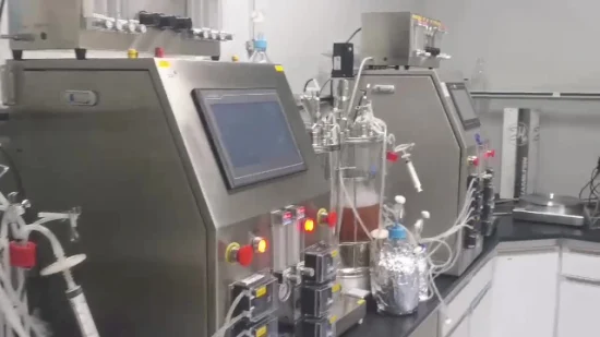 Druckbehälter-Reaktor-Bioreaktor Selbstgebauter Inslin-Laborfermenter